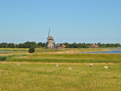 Holiday house Attractive Home in Frisian - Environment photo 18