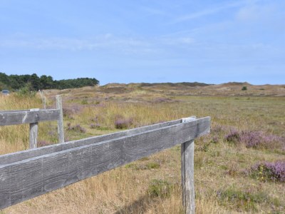 Holiday house Attractive Home in Frisian - Environment photo 20