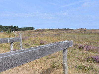 Apartment Bauernhaus auf Texel am Deich für 6 Von Belvilla - Environment photo 17