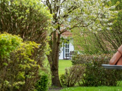 Holiday apartment Ferienwohnung  Lilli Marleen 7-03 - Outdoor photo 10