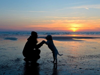 Holiday apartment Ferienreihenhaus "Mobby Dick" Lale Andersen 4g Galerie - Environment photo 35