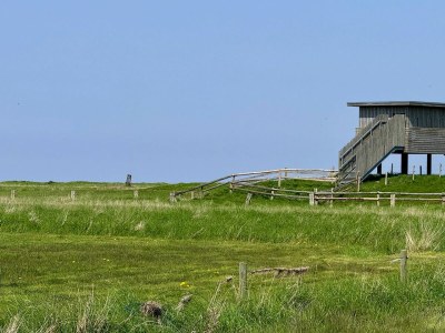 Holiday apartment Appartement  Cappel Whg. 23 - Environment photo 13