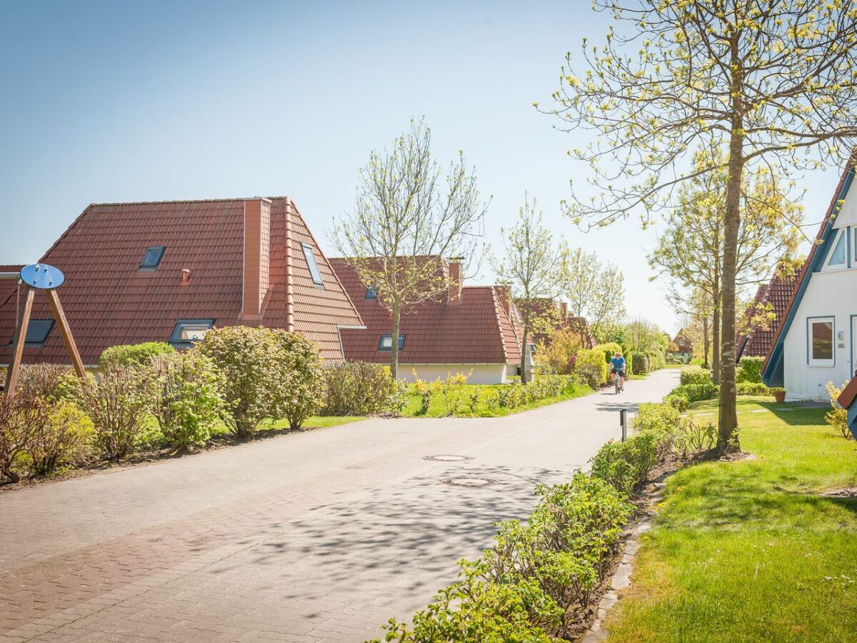 Holiday house Ferienhaus  Ostertill 15 - Outdoor photo 5