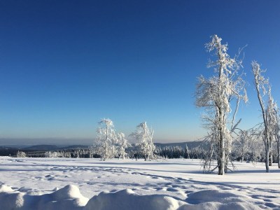 Chalet Chalet in Winterberg near Kappe Adventure - Environment photo 36