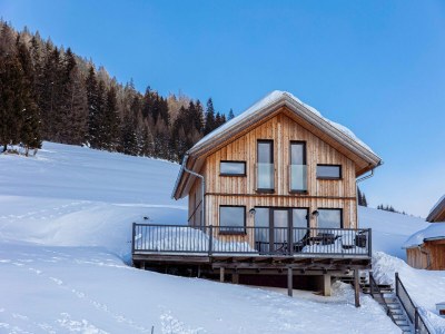 Chalet Ferienhaus mit Terrasse in der Steiermark - Outdoor photo 10