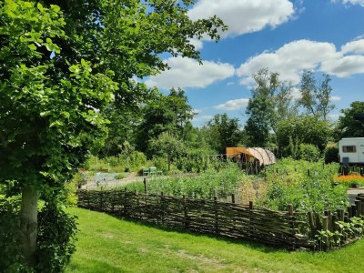 Holiday park Luxuriöser Gruppenurlaub in der Natur in Munnekeburen - Holiday park