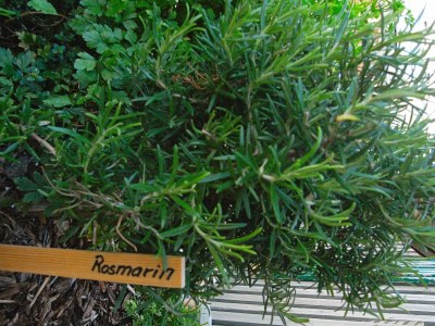 Holiday park 4 Personen Ferienhaus auf einem Ferienpark Fanø - Outdoor photo 31