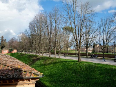 Apartment Spacious Tuscan Apartment in Lucca - Outdoor photo 23