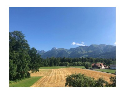 Holiday apartment Landhaus Stockhornblick in Wattenwil - Holiday apartment