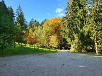Apartment Premium Apartment in Schwaz - Environment photo 20