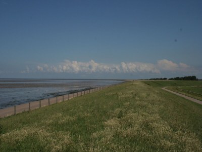 Holiday park Chalet by Wadden Sea with Sunny Garden - Environment photo 25