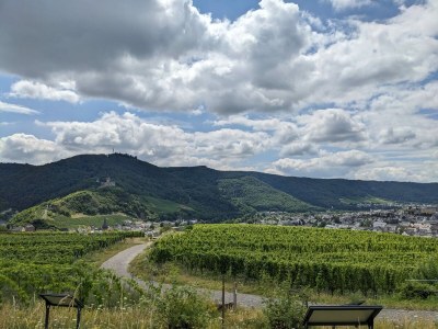 Holiday house Ristic - Environment photo 31