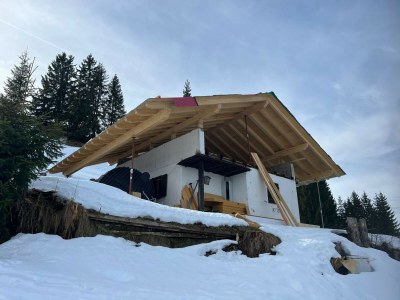 Holiday house Panoramahütte im Skigebiet - Outdoor photo 29