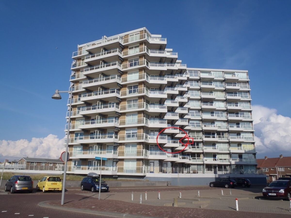 Holiday house Sterflat 85 - Holiday home apartment in Egmond near dunes and beach - Outdoor photo 2