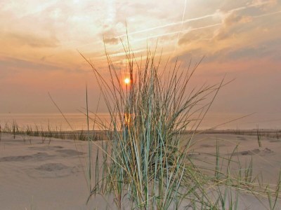 Holiday house Sterflat 85 - Holiday home apartment in Egmond near dunes and beach - Outdoor photo 22