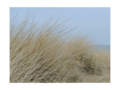 Holiday house Zeehond - Outdoor photo 24