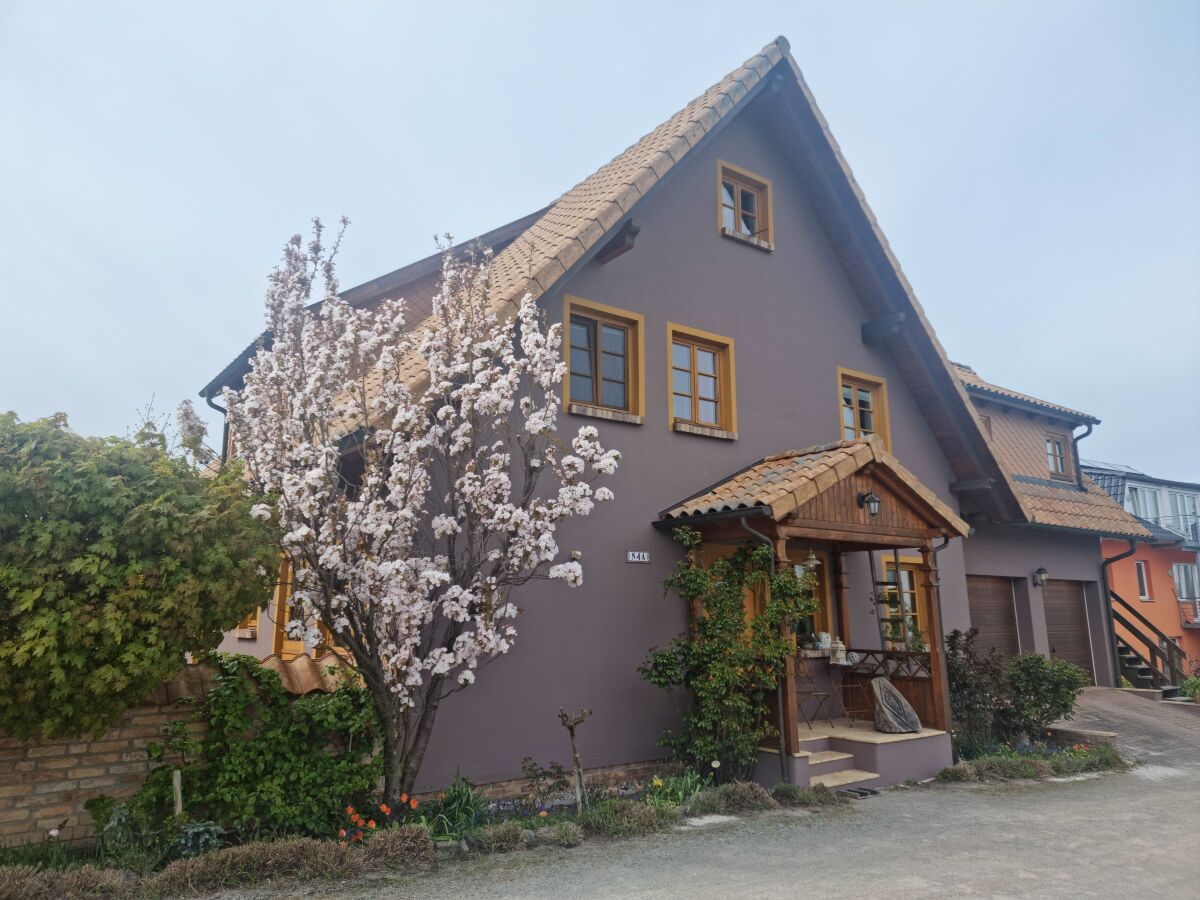 Holiday apartment Grüner Weg 4a