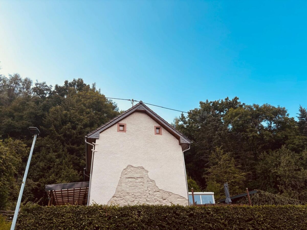 Holiday house Ferienparadies in der Vulkaneifel - Outdoor photo 2
