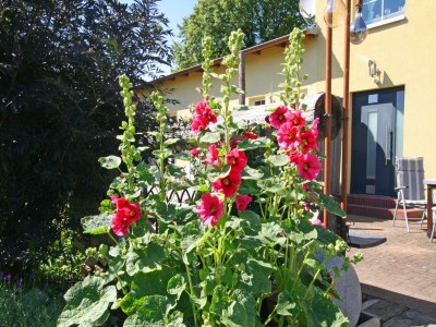 Apartment Modernes Appartement mit Balkon, Wiek - Outdoor photo 25