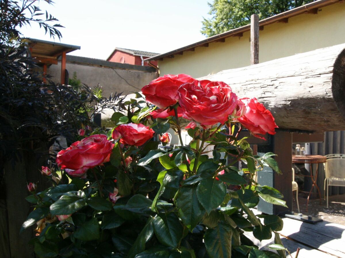 Apartment Einladende Ferienwohnung in Wiek mit Garten - Outdoor photo 3