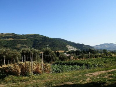 Holiday house Rustic Apartment in Modigliana with Pool - Outdoor photo 14