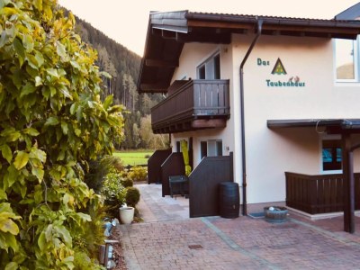Holiday house Family Apartment near Wildkogel Ski-lift - Outdoor photo 5