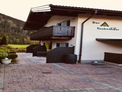 Holiday house Family Apartment near Wildkogel Ski-lift - Outdoor photo 9