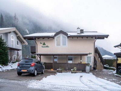 Holiday house Family Apartment near Wildkogel Ski-lift - Outdoor photo 11