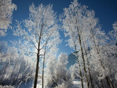 Holiday house Family Apartment near Wildkogel Ski-lift - Environment photo 26