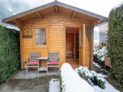 Holiday house Family Apartment near Wildkogel Ski-lift - Outdoor photo 31