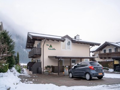 Holiday house Holiday home in Hollersbach im Pinzgau - Outdoor photo 8