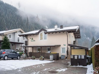 Holiday house Apartment with Terrace in Hollersbach - Outdoor photo 7