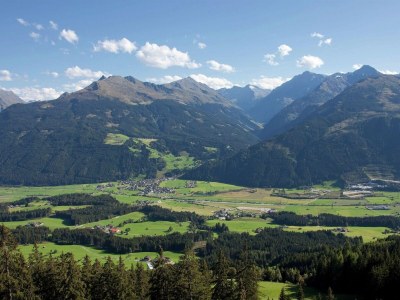 Holiday house Apartment with Terrace in Hollersbach - Environment photo 21