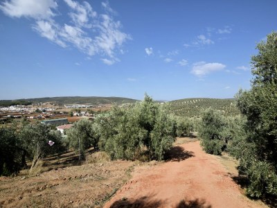 Villa Villa mit Whirlpool in Villanueva del Trabuco - Environment photo 39