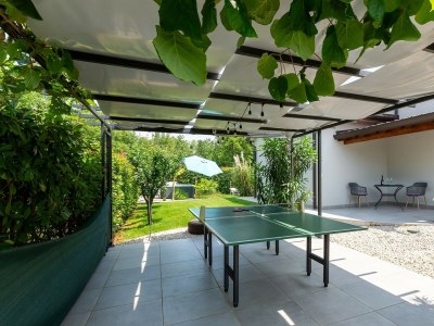 Villa Villa Filton - Modern Villa Filton in Vižinada, central Istria - Environment photo 33