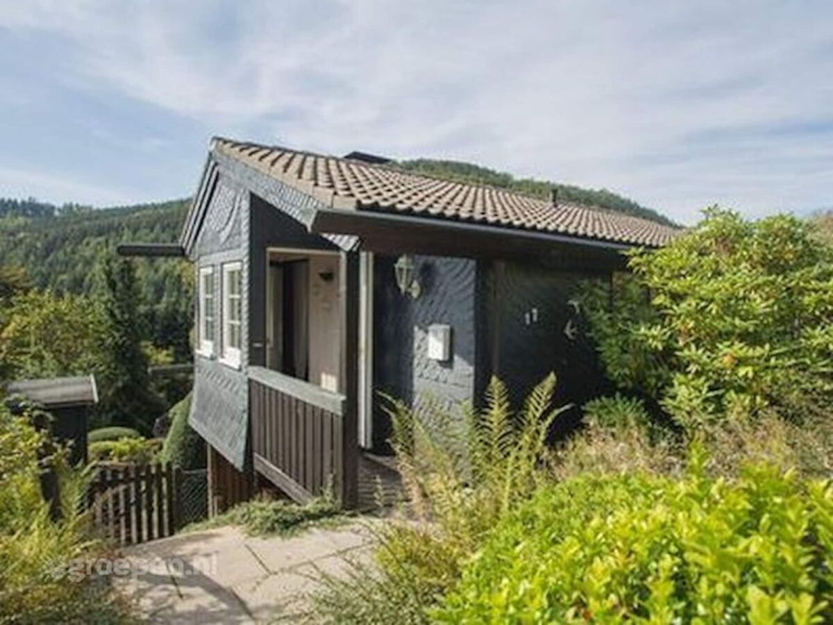 Villa Holiday Home in Niedersfeld near Hillebachsee - Outdoor photo 4