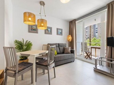 Apartment Sunny Apartment near Playamar Beach - Features photo 33