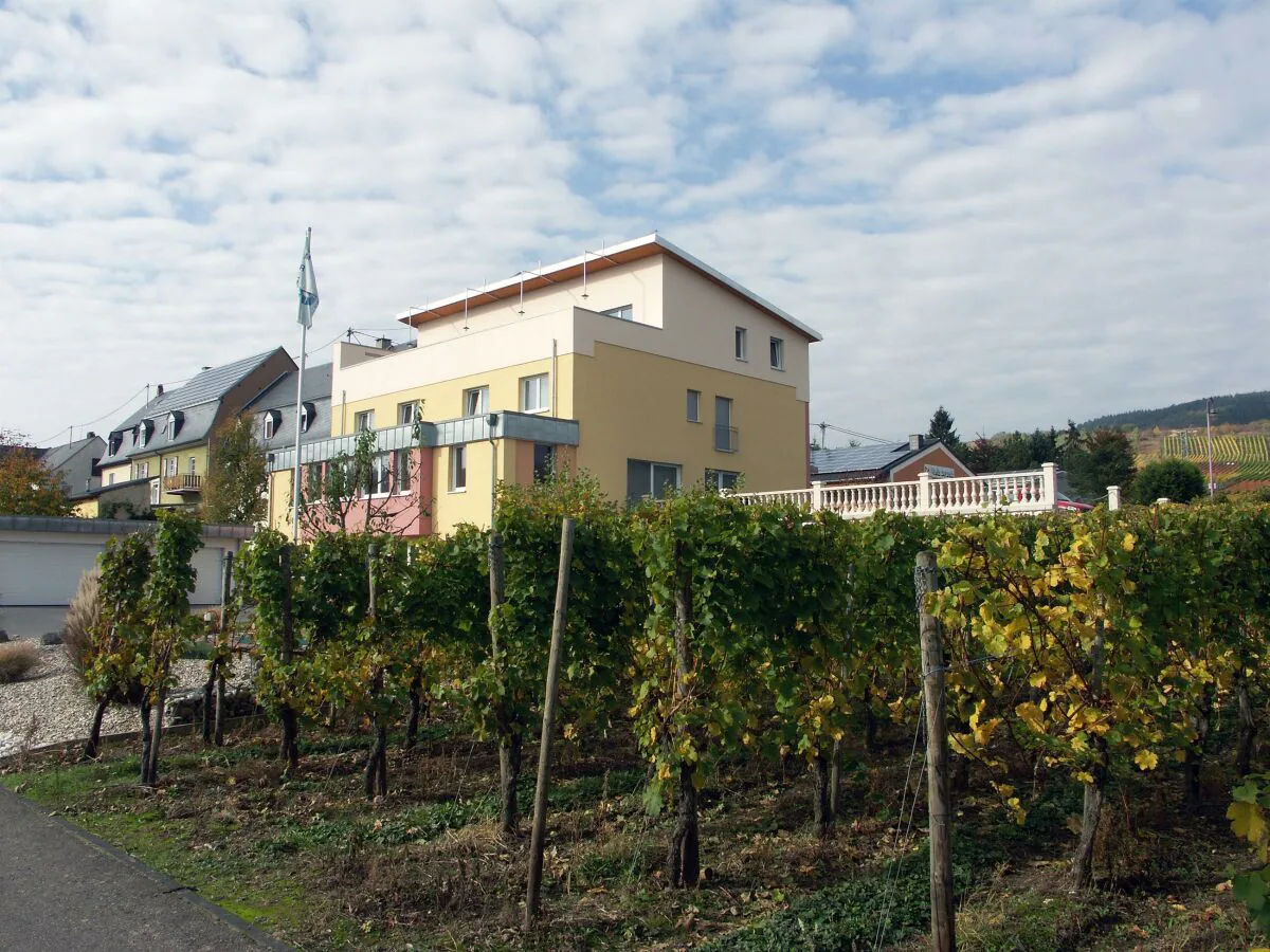 Apartment Mosel 2