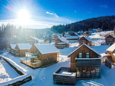 Chalet Lovely chalet with sauna - Environment photo 30