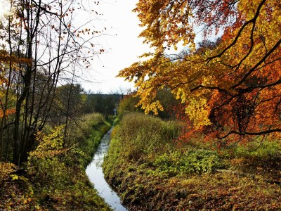 Holiday house Reihenhaus Reiterchalet in Wendorf - Environment photo 21