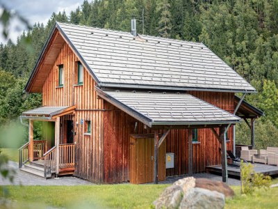 Holiday park Inviting chalet with terrace - Outdoor photo 3