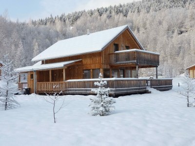 Holiday park Inviting chalet with terrace - Outdoor photo 4
