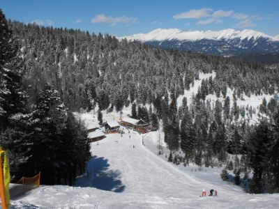 Holiday park Inviting chalet with terrace - Environment photo 39