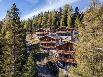 Holiday park Superior chalet with sauna - Outdoor photo 9