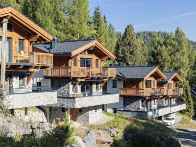 Holiday park Superior chalet with sauna - Outdoor photo 10