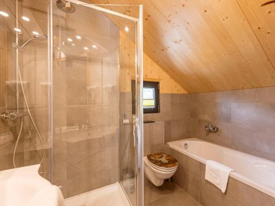 Holiday park Cosy chalet with sauna - Features photo 11