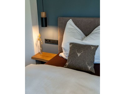 Apartment Wellness-Ferienhaus, Bad/WC mit Sauna u. Jacuzzi - Features photo 63