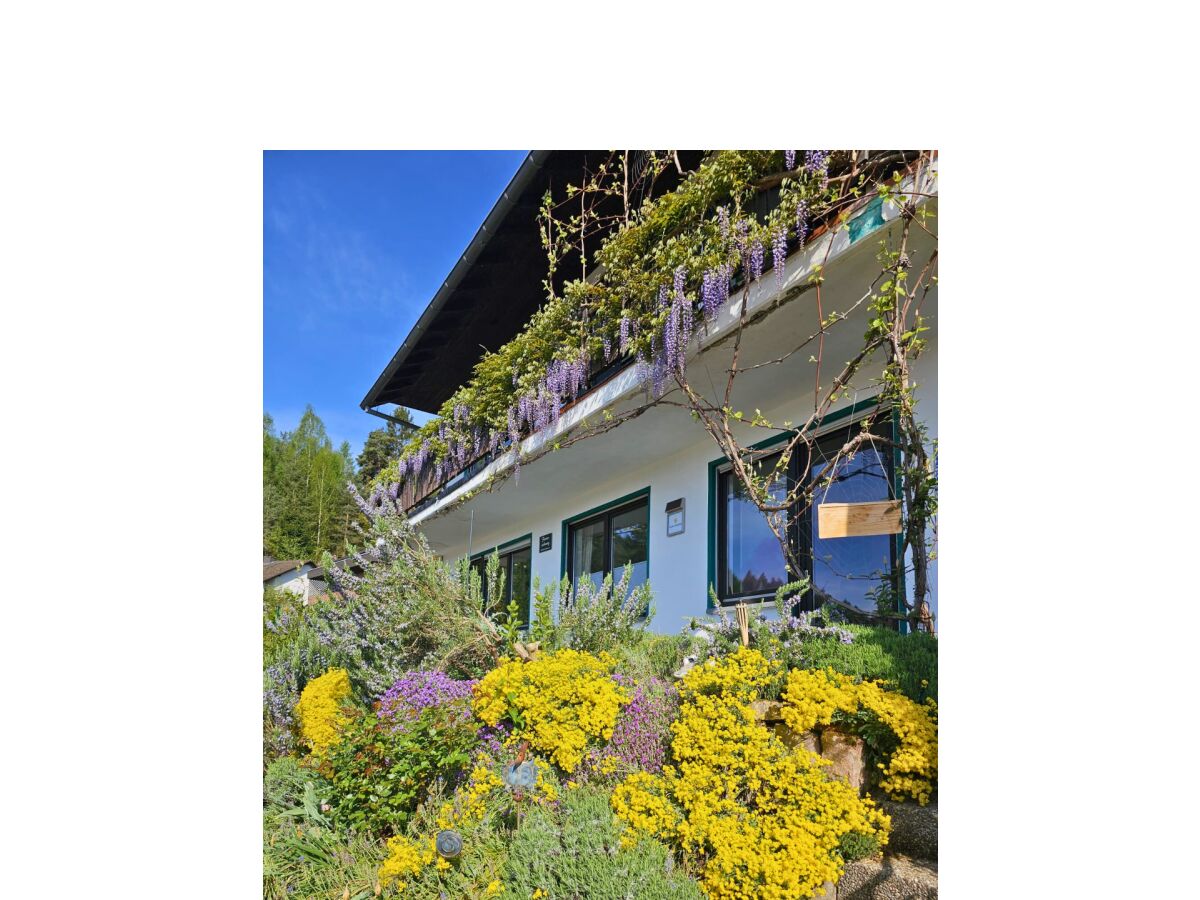 Apartment Ferienwohnung Am Meulenwald - Outdoor photo 4