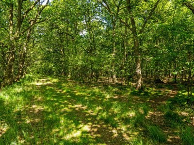 Holiday house 4 person holiday home in Hampen - Outdoor photo 9