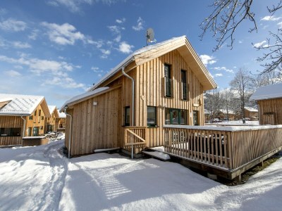 Holiday park Modern chalet with whirlpool - Outdoor photo 2